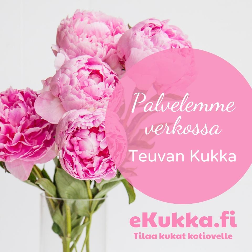 eKukka.fi-logo